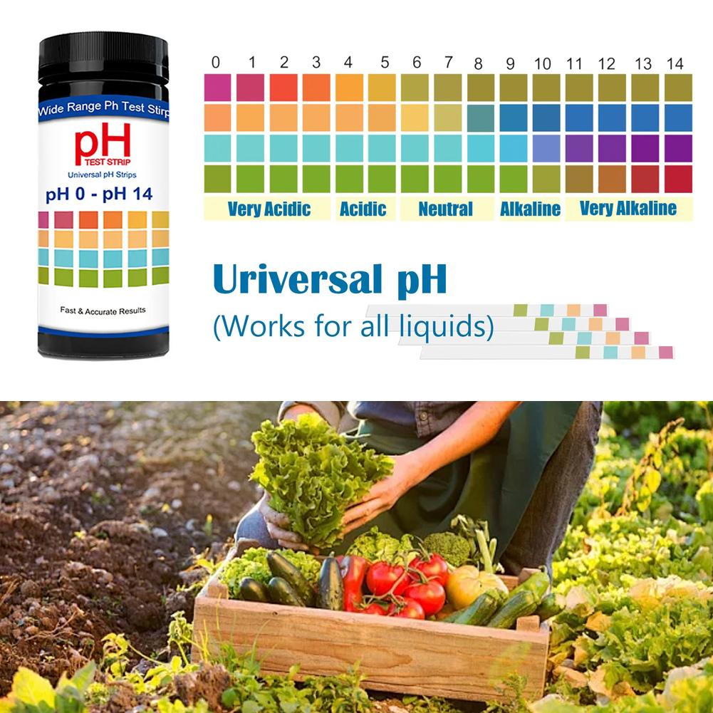 100 Pieces Multipurpose Chlori – Ph Strip Test recenzja i cena