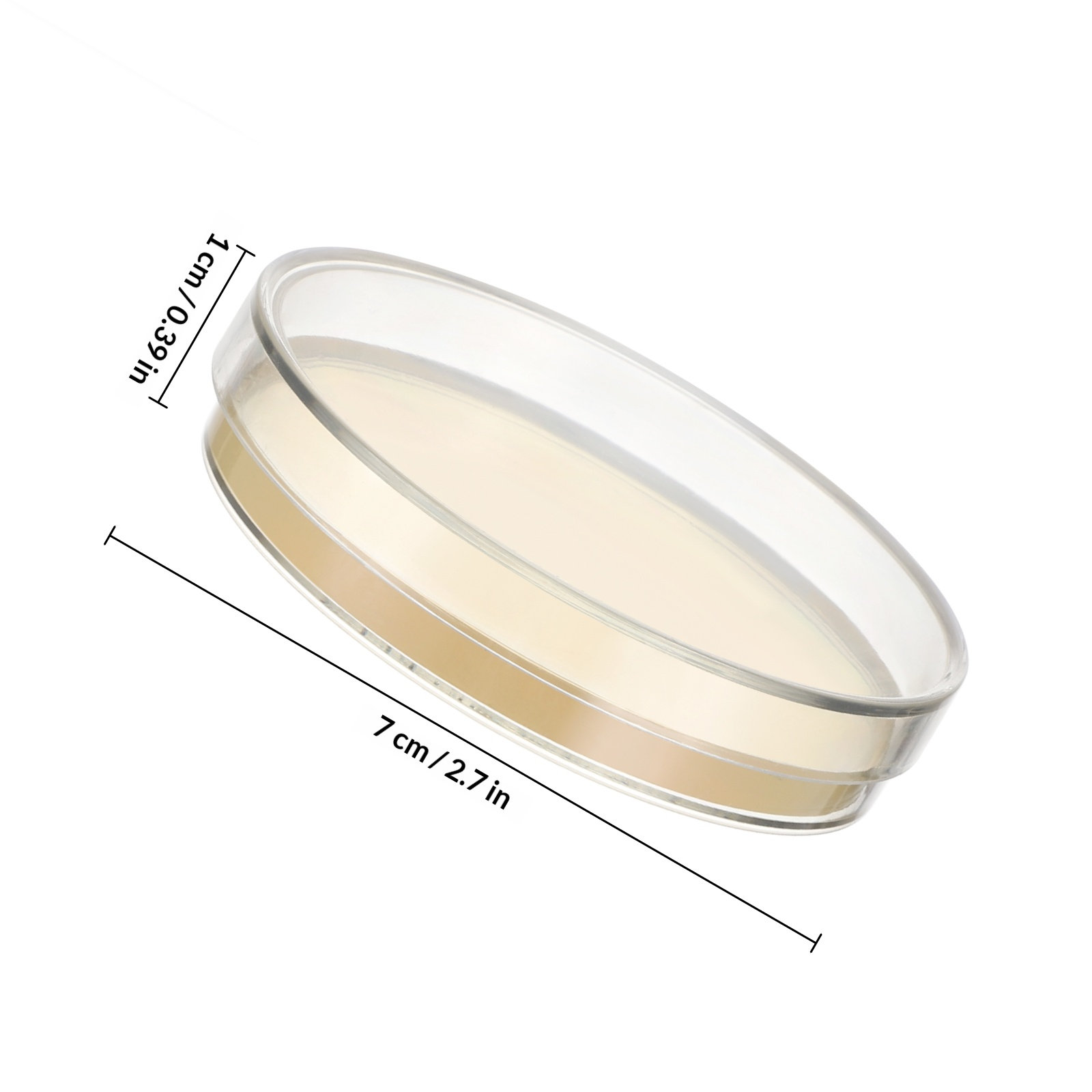 Agar Plates 10pcs Ready to Use – Science Experiment recenzja i cena