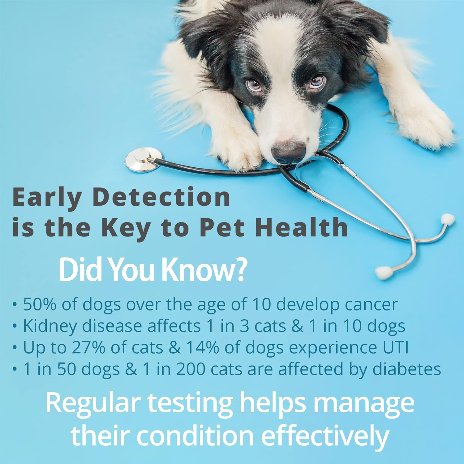 Pet Urine Testing Strips, 100  – Ph Strip Test recenzja i cena