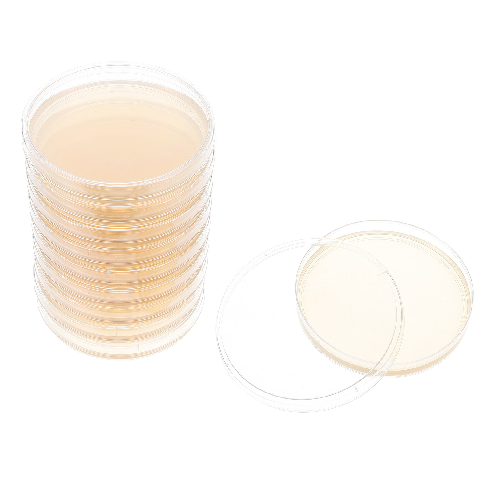 10pcs Nutrient Agar Plates Pre – Science Project recenzja i cena