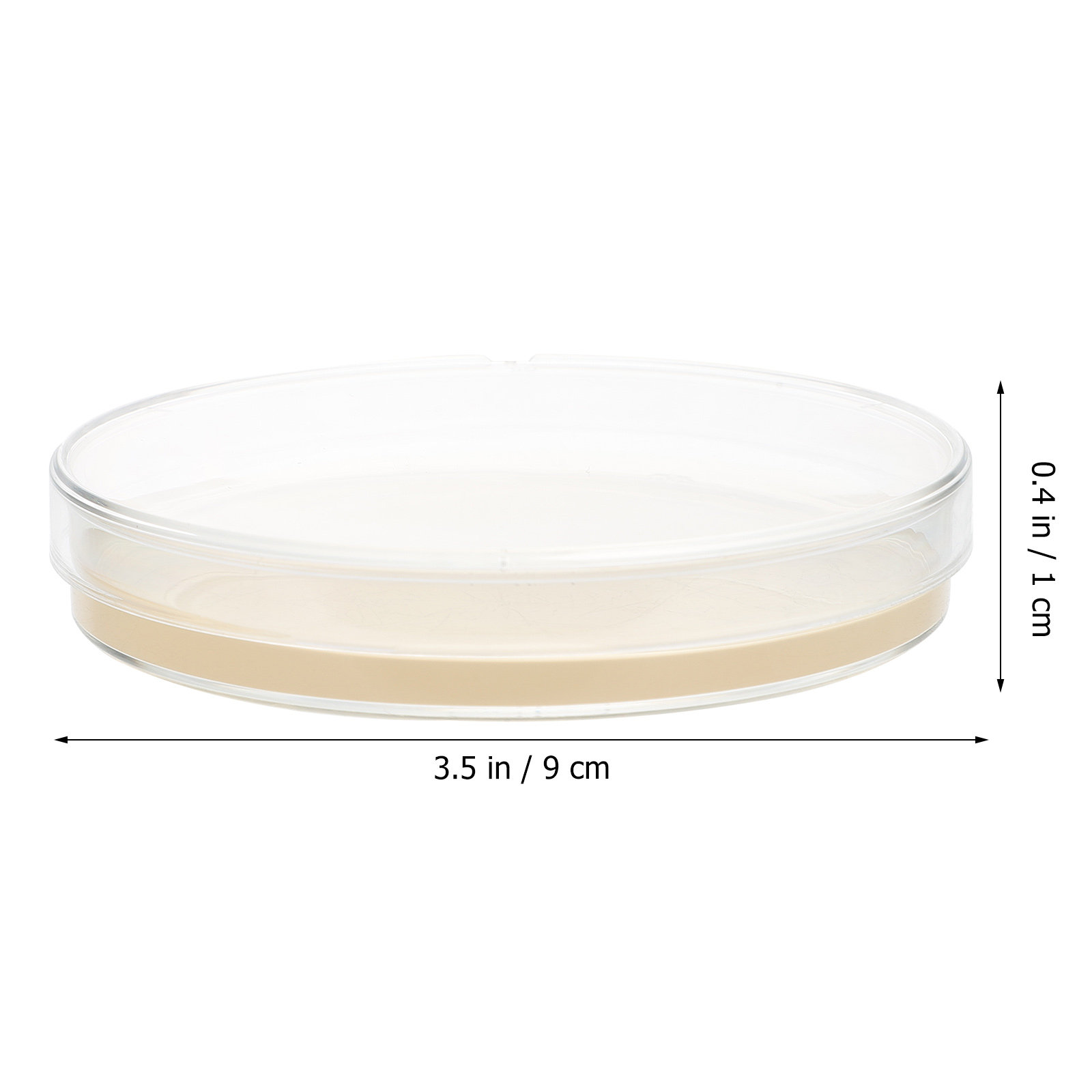 10pcs Nutrient Agar Plates Pre – Science Project recenzja i cena