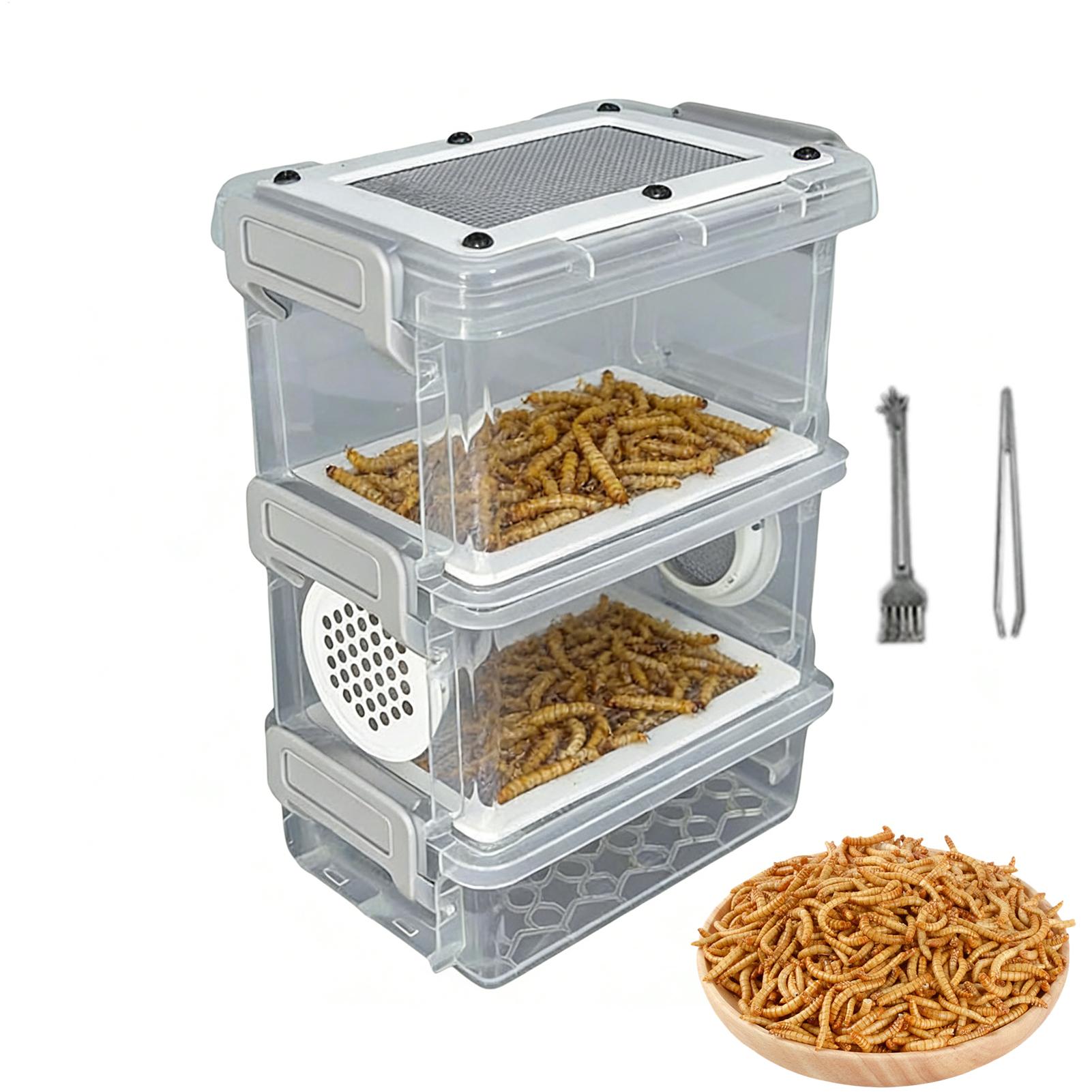 Mealworm Breeding Kit 3-Layer  – Science Hobbyist recenzja i cena
