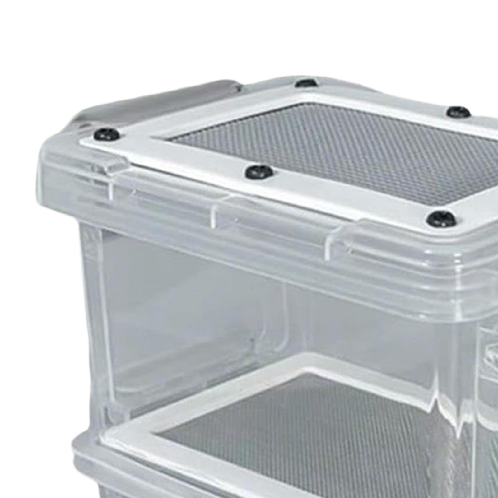 Mealworm Breeding Kit 3-Layer  – Science Hobbyist recenzja i cena