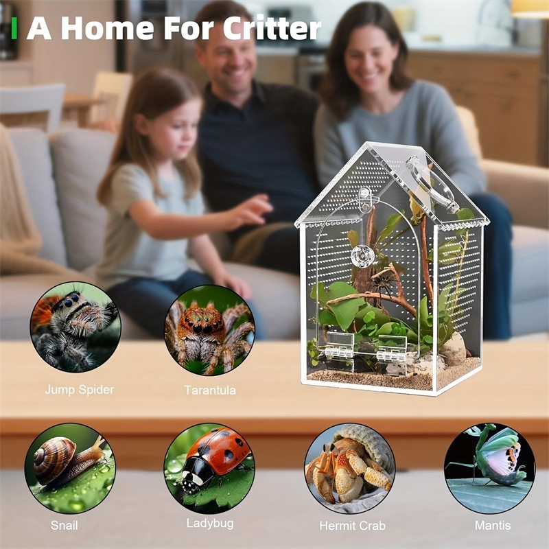 Transparent Acrylic House Inse – Science Hobbyist recenzja i cena